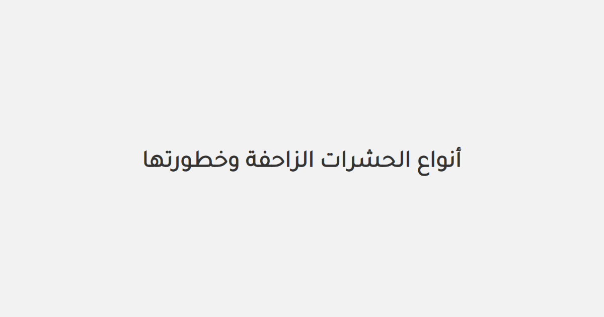 أنواع الحشرات الزاحفة وخطورتها